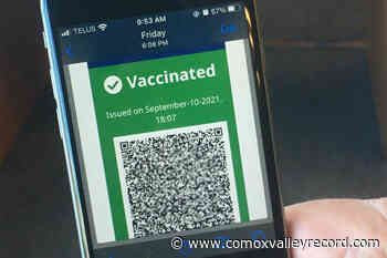 6-month suspension for B.C. nurse who created fake vaccine cards - Comox Valley Record