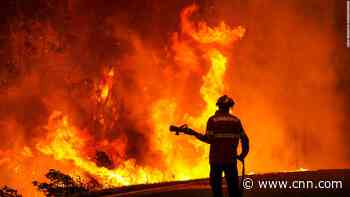 The searing temperatures in Southern Europe have left at least 1,000 people dead, and Britain had one of its hottest days on record