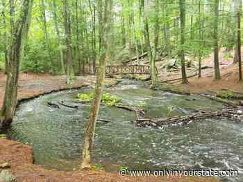Take A Trail Through The Woods Of Mowry Conservation Area In Rhode Island - Only In Your State