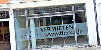 Eine belebte Innenstadt schaffen – was Hildesheim dabei von Hameln lernen kann - www.hildesheimer-allgemeine.de