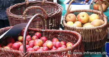 Landkreis Bamberg: Streuobstbörse sucht Anbieter - Obst von heimischen Wiesen kaufen und verkaufen - inFranken.de
