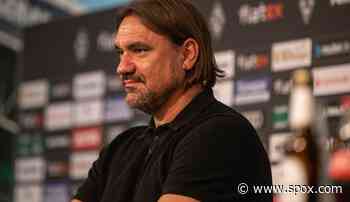 Borussia Mönchengladbach: Trainer Daniel Farke warnt vor zu hohen Erwartungen - SPOX