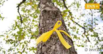 Braucht es in Achern gelbe Bänder an Obstbäumen? - BNN - Badische Neueste Nachrichten