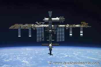 High-flying experiment: Do stem cells grow better in space? - Quesnel - Cariboo Observer