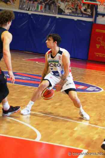 SIENA - Virtus, confermato Matteo Calvellini - Toscana News - Toscana News