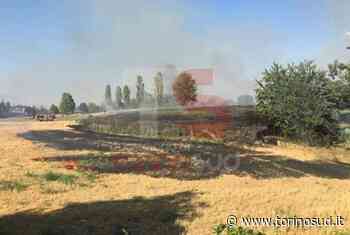 BEINASCO - Vasto incendio devasta i campi e vegetazione al confine con Torino: intervento dei vigili del fuoco - FOTO - TorinoSud