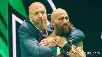 Clarity On Triple H's WWE NXT Role - WhatCulture