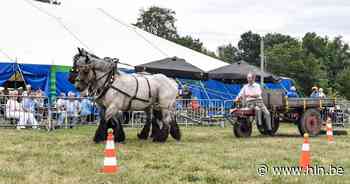 Landelijke Gilde pakt uit met dertigste Landbouwdagen | Dendermonde | hln.be - Het Laatste Nieuws