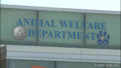 Animal Welfare employee investigated for TikTok video