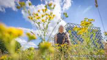 De symbiotische stad wordt gebouwd voor mens, mol en mug - de Architect