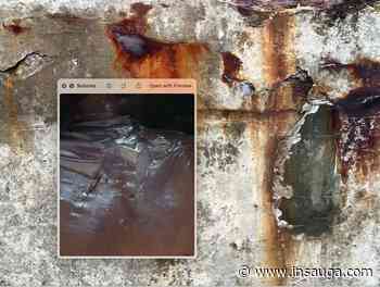 Sutures art exhibition at Visual Arts Clarington signifies healing and new life | inDurham - insauga.com