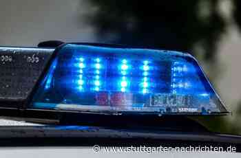 Auf Feldweg bei Renningen: Autofahrer überfährt Hund und flüchtet - Stuttgarter Nachrichten