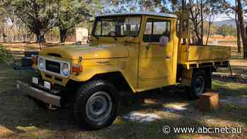 LandCruisers 'better than money in the bank' in hot second-hand market, valuer says. But European badges in the dumps