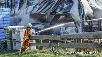 Industrieversicherung: Das sind die drei teuersten Schadens-Ursachen für Versicherer