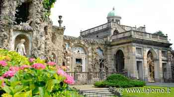 Preziose orchidee nelle serre liberty di Villa Litta a Lainate - Cosa Fare - ilgiorno.it - IL GIORNO