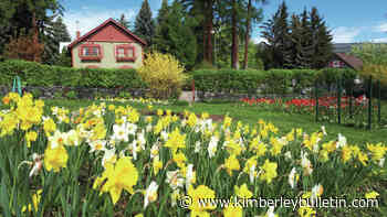 No plan to sell Cominco Gardens: Mayor McCormick - Kimberley Bulletin