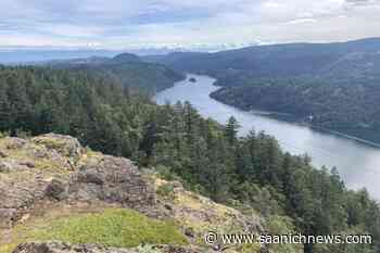 CRD board rejects Central Saanich opt-out of regional climate action service – Saanich News - Saanich News