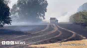 Large area of grassland smoulders after fire near Colchester