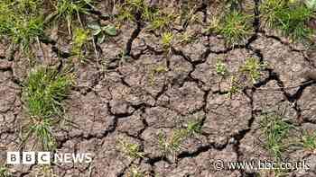 Anglian Water says 'we must be more robust towards drought'