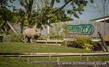 Chester Zoo to remain closed during heatwave this week - St Helens Star