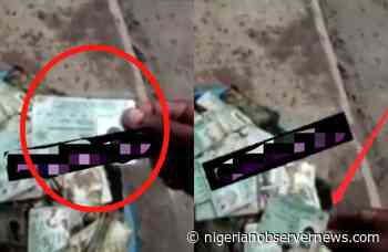 INEC probes video of thousands uncollected PVC's buried in Rivers drainage - Nigerian Observer