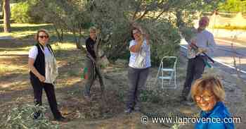 Carry-le-Rouet : au paradis de l'olive avec l'AOC - La Provence
