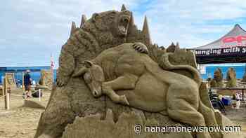 Organizers 'bull-ish' after roaring return of Parksville Beach Festival - Nanaimo News NOW