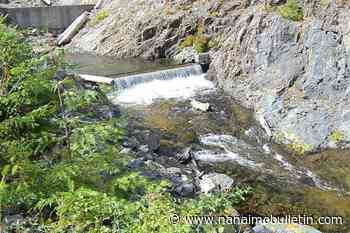 Regional District of Nanaimo groundwater outlook good at start of summer, says report – Nanaimo News Bulletin - Nanaimo Bulletin