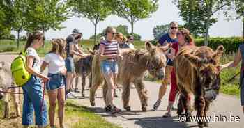 Nationale feestdag gevierd met ezelwandeling | Assenede | hln.be - Het Laatste Nieuws