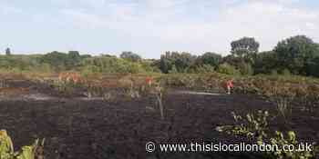 Woolwich Common fire: Recap