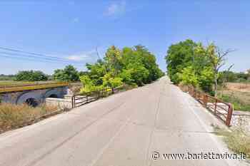Effettuata pulizia lungo via Trani: era invasa dalla vegetazione - BarlettaViva
