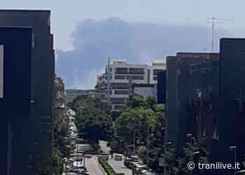 Molfetta, incendio nell'ex parco divertimenti Miragica: nube visibile da Trani - TraniLive