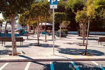 Istituiti 30 stalli di sosta per motoveicoli nell'asse centrale di piazza Plebiscito - TraniViva