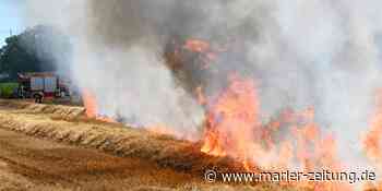Was Sie heute in Marl wissen müssen: Was Sie heute wissen müssen: Versteigerung droht im Chaos zu ve - Marler Zeitung