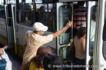 Natal poderá receber R$ 14 milhões para gratuidade de idosos - 18/07/2022 - Notícia - Tribuna do Norte