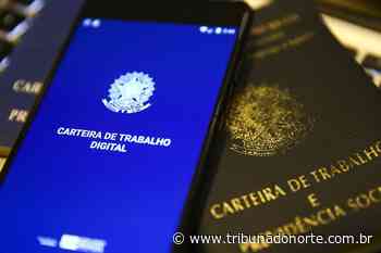 Sine oferece 36 vagas de empregos em Natal e interior; veja - 18/07/2022 - Notícia - Tribuna do Norte