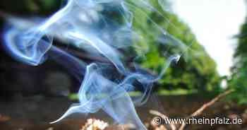 Höchste Waldbrand-Gefahrenstufe ausgerufen - Kaiserslautern - DIE RHEINPFALZ - Rheinpfalz.de