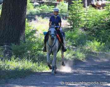 Trail accident during Tevis Cup leaves horse dead; 2 others injured in falls - Gold Country Media