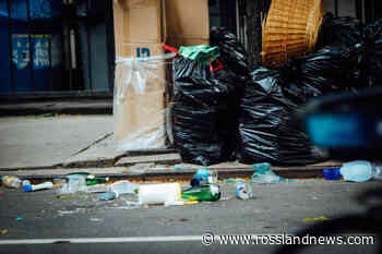 Trail RCMP report fraud attempt, neighbourhood bear, and theft - Rossland News