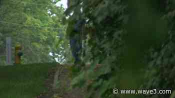 Troubleshooters: Residents tangled up in overgrown trail - WAVE 3