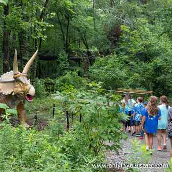The Dinosaur Trail Is A Unique Trail In Mississippi Where Dinosaurs Come To Life - Only In Your State