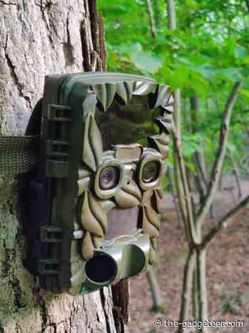Coolife 20MP 4K video HD trail camera review - It's fun to see what roams your woods or yard at night! - The Gadgeteer