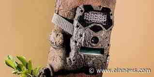 Trail Cameras Market Data and Acquisition Research Study with Trends and Opportunities 2022-2031 - EIN News