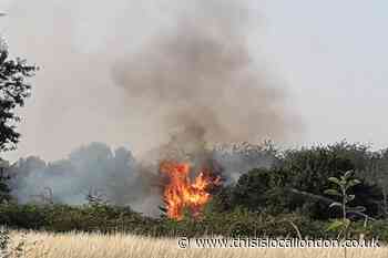 Woolwich Common fire spread to the size of two football pitches
