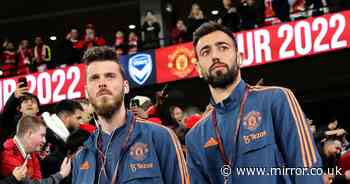 Bruno Fernandes and David de Gea challenge each other in Man Utd pre-season camp - The Mirror