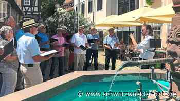 So klingt Nagold: Chöre werben beim "Tag der Stimme" singend  für ihr Hobby