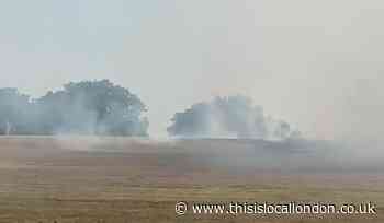 Bexleyheath grass fire damages three hectares of land
