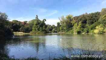 Siccità, a rischio il laghetto di villa Pamphili. Alfonsi: "Sorvegliamo con attenzione l'ecosistema"