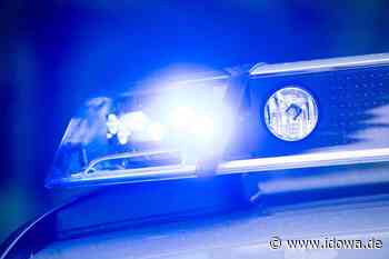 Vorfall in Mainburg - Angerempelt: 21-Jähriger fällt in die Abens - idowa