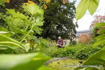 Das versteckte Paradies - freiepresse.de